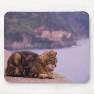 Corniglia, Cinque Terre, Italy Mouse Pad