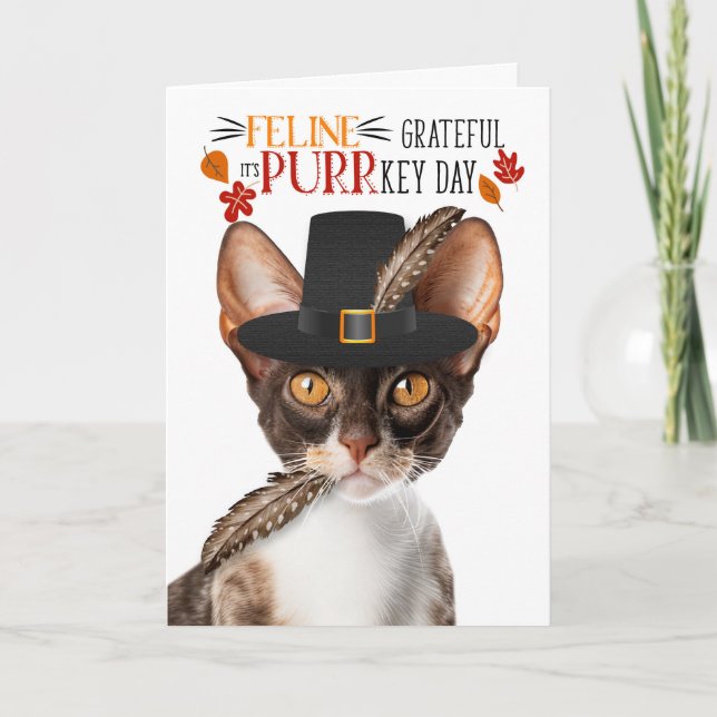 Cornish Rex Cat Feline Grateful for PURRkey Day Holiday Card (Front)