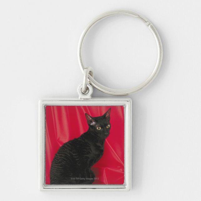 Cornish rex cat key ring (Front)