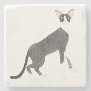 Cornish Rex Cat Stone Coaster