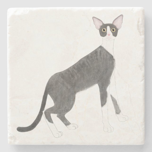 Cornish Rex Cat Stone Coaster (Front)