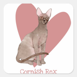 Cornish Rex Cat Watercolor Kitty Pink Heart Square Sticker