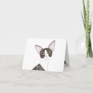 Cornish Rex Greeting Card