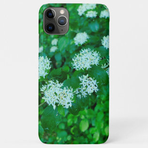 Cornus sanguinea iPhone 11 pro max case