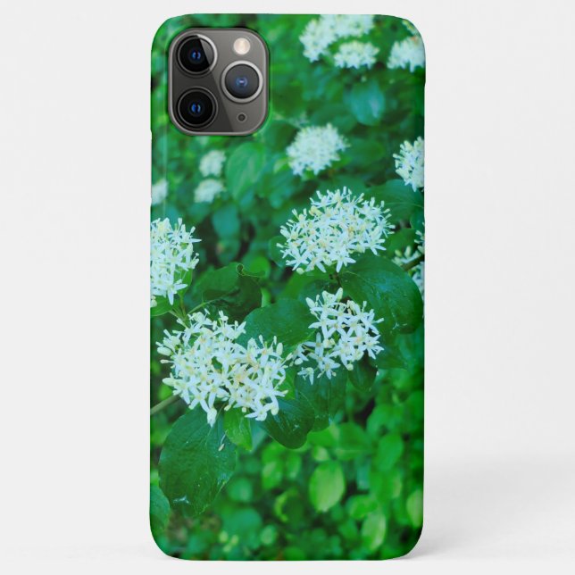 Cornus sanguinea  Case-Mate iPhone case (Back)