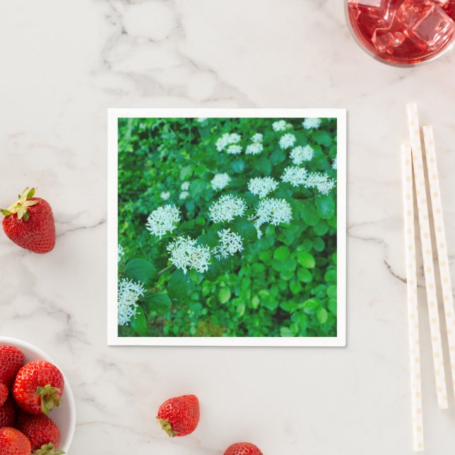 Cornus sanguinea Paper Napkins (Insitu)