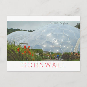 Cornwall Holiday Postcard