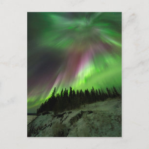 Corona Aurora Postcard