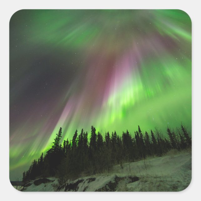 Corona Aurora Square Sticker (Front)