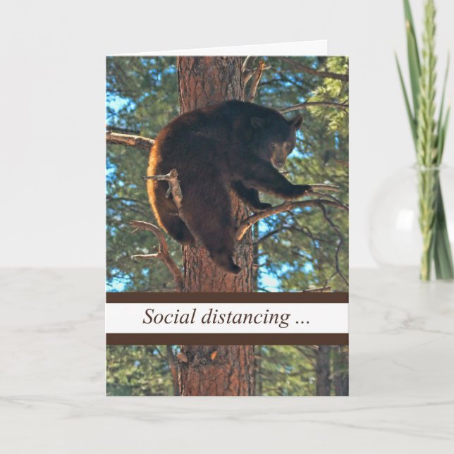Corona Virus Funny Social Distancing Bear in Tree Card (Front)