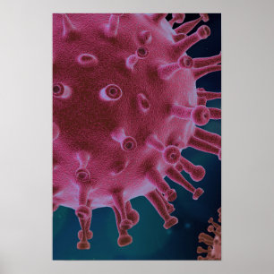 Corona Virus Microbiology Poster