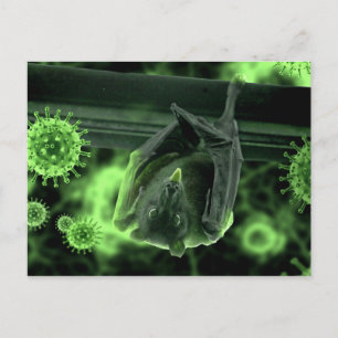 Coronavirus Covid-19 Bat Postcard