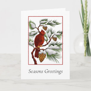 Corporate Christmas Card with Red Cardinal