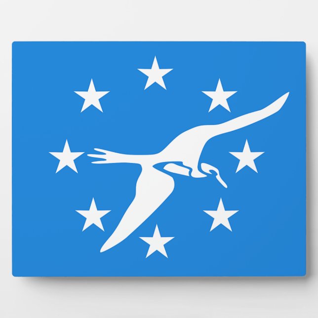 Corpus Christi City Flag Plaque (Front)