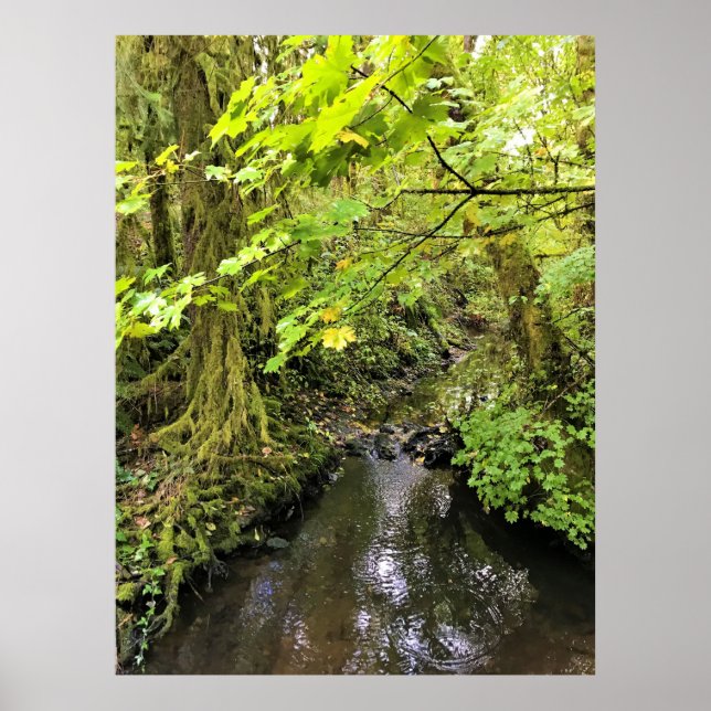 Corral Creek, Oregon Poster (Front)