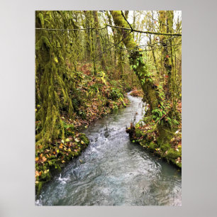 Corral Creek, Oregon Poster