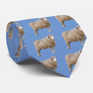 Corriedale sheep tie