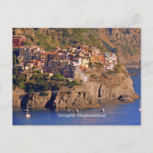 Corriglia, Newfoundland Postcard (Front)