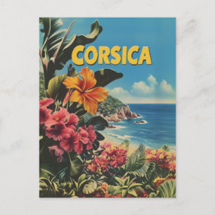 Corsica Vintage Postcard