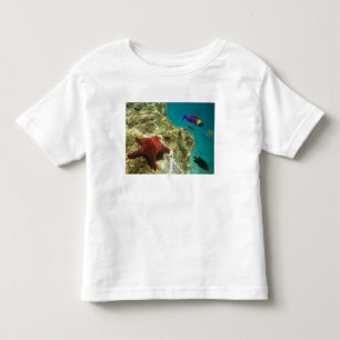 Cortez Rainbow Wrasse male and female and sea Toddler T-Shirt
