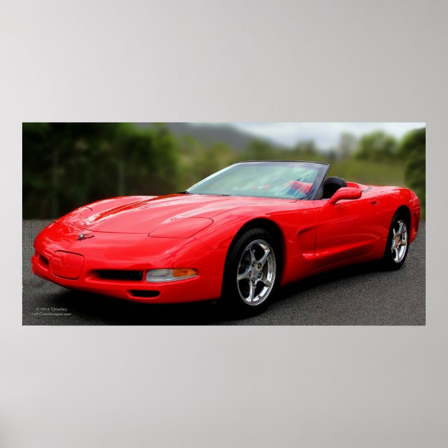 CORVETTE POSTER (Front)