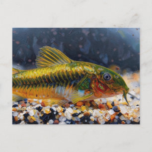 Corydoras green laser catfish fish postcard