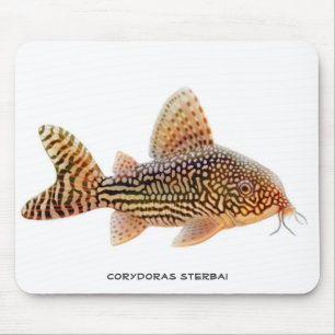 Corydoras Sterbai Catfish Mousepad