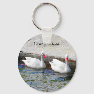 Coscoroba Swan #1 Keychain