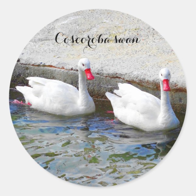 Coscoroba Swan #1 Stickers (Front)
