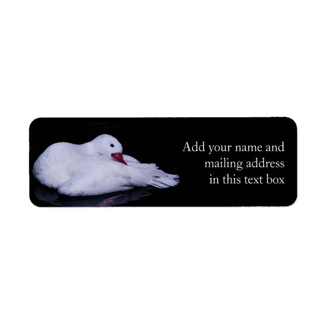 Coscoroba Swan P3442 Return Address Label (Front)