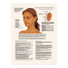 Cosmetic Acupuncture Facial Rejuvenation Points