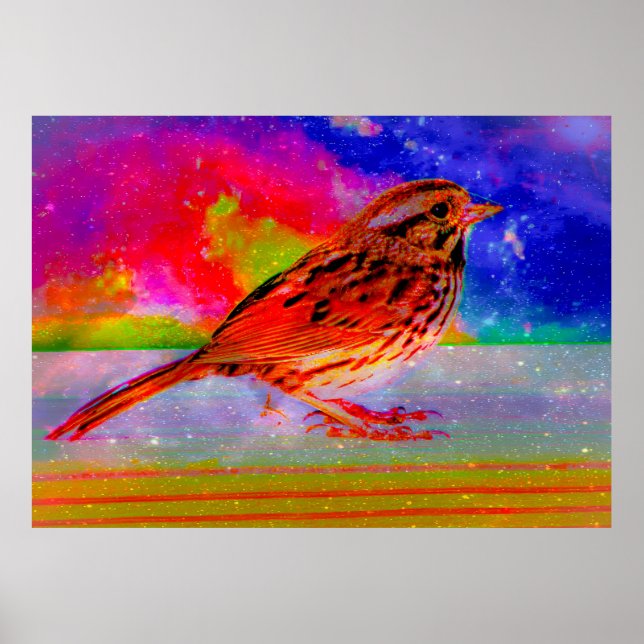 Cosmic Bird Dreamscape Art Print" Poster (Front)