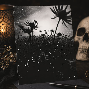 Cosmic Bloom Black & White Starry Wildflower Postcard