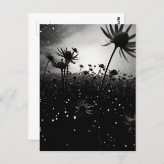 Cosmic Bloom in the Stars Postcard