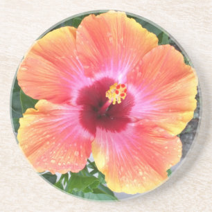 Cosmic Dancer Hibiscus Coaster