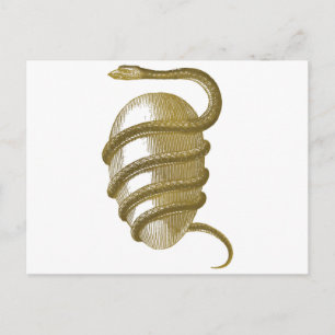 Cosmic egg postcard