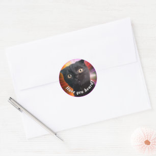 COSMIC KITTY BUDDY CLASSIC ROUND STICKER