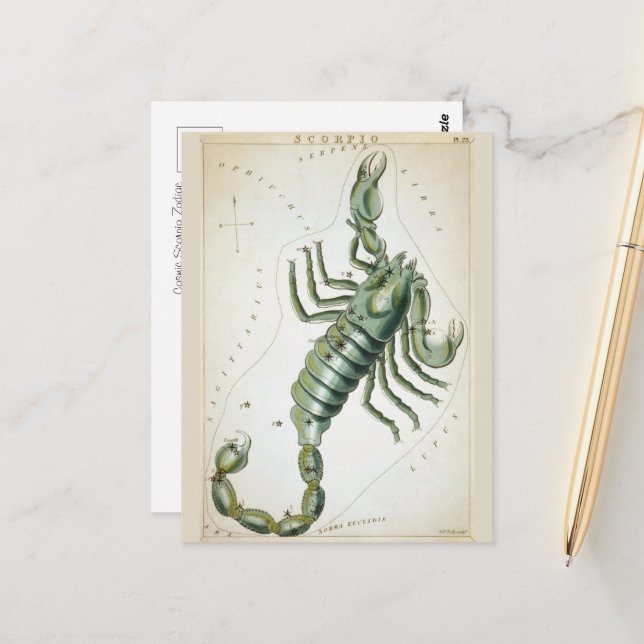 Cosmic Scorpio Zodiac  Postcard (Front/Back In Situ)
