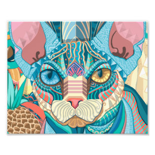 Cosmic Sphynx Cat Photo Print
