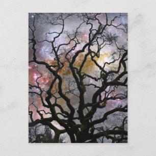 Cosmic Tree - Colliding Galaxies Postcard