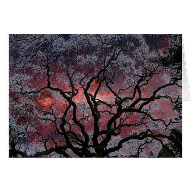 Cosmic Tree - Milky Way Centre (Front Horizontal)