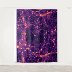 Cosmic Web Tapestry