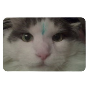 Cosmo 3 Custom Magnet