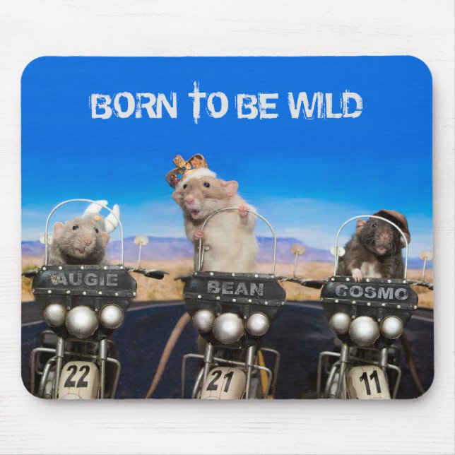 Cosmo, Augie and Bean - Born to Be Wild Mouse Pad (Front)