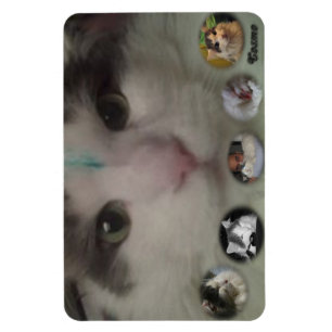 Cosmo Collage photo magnet