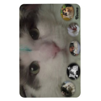 Cosmo Collage photo magnet