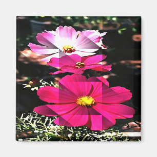 Cosmo Holidays..... Magnet