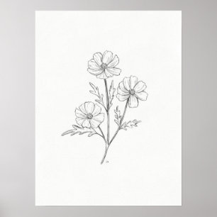 Cosmo Pencil Drawing Art Print