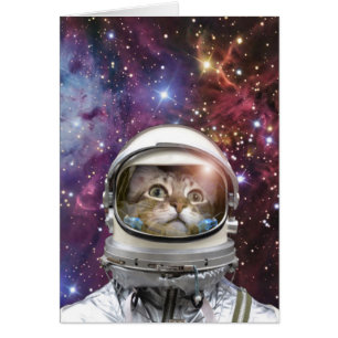 Cosmonaut cat