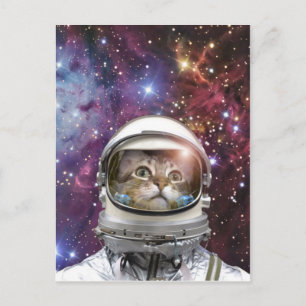 Cosmonaut cat postcard
